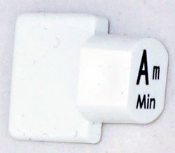 Ashbury Replacement Am Autoharp Key 