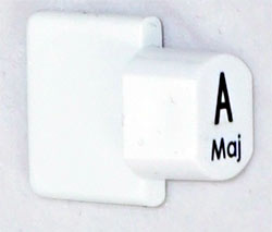 Ashbury Replacement A Autoharp Key 