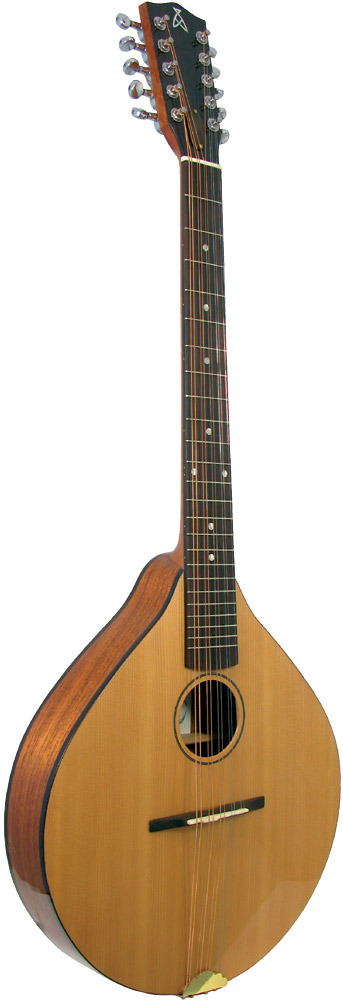 Ashbury Style E Cittern, 10 string Solid Alaskan sitka spruce top. Solid African sapele back and sides