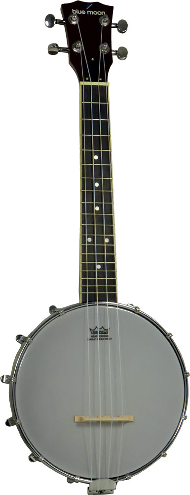 Ashbury AB-14 Ukulele Banjo, 8inch Head 8inch Remo head with a closed back style body