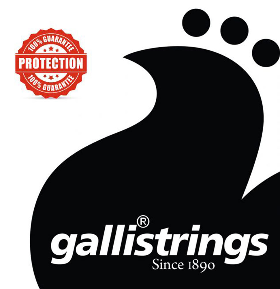 Galli LS1558 Weissenborn Guitar Set G Tunin Phosphor bronze. Gauges: 015 .018 .027w .039 .047 .058
