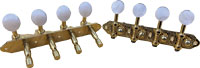 Ashbury AS-2038 Slotted Mandolin Machine Heads High quality mandolin machine heads.Gold color finish, pearloid buttons