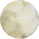 Viking VDS-116 16inch Natural Calf Skin Banjo vellum. Thickness varies within each skin. Normally between 0.20mm-0.40mm