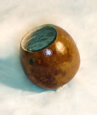 Contemporanea BEGM Gourd For Berimbau. Medium Natural Gourd, dried and varnished, size will vary