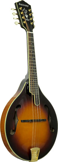 Ashbury AM-510 A Style Bluegrass Mandolin Solid carved AA spruce top, solid curly maple back and sides. Ivoroid binding