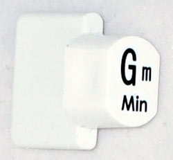 Ashbury Autoharp Key, Gm Suitable for the Ashbury 21 bar autoharp