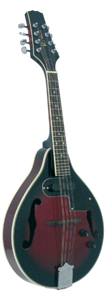 Blue Moon BM-07 Electro Acoustic Mandolin Electro Acoustic, A-style body, F holes. Red burst finish, magnetic p/u, tone&vol