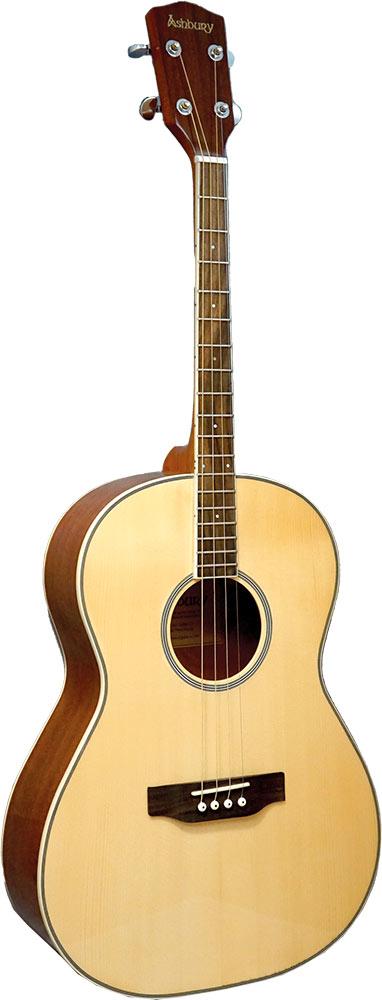 Ashbury tenor guitar deals
