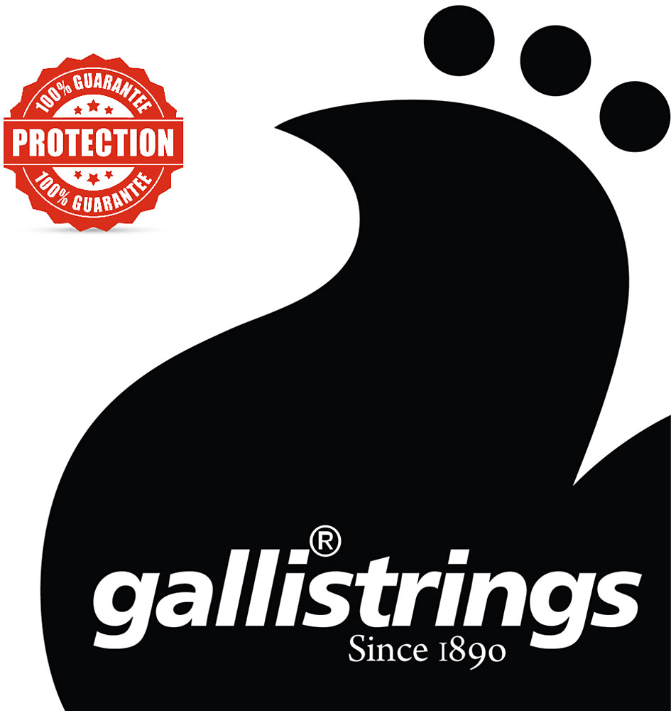 Galli PL008 Plain Ball end string .008 