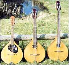 Musikalia Group Photo