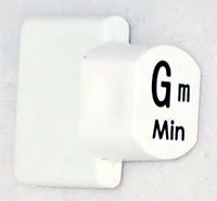 Ashbury Replacement Gm Autoharp Key