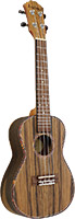 Ashbury AU-89CZ Concert Uke, DAO Wood