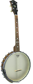 Ashbury AB-55TS Openback Tenor Banjo, 17 Fret