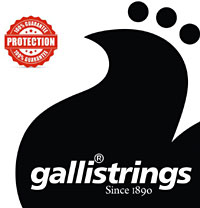 Galli LS1659 Resophonic Guitar Set.G Tuning