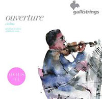 Galli OV41 Violin Overture Strings 3/4 Steel core wound in nickel steel. Medium tension