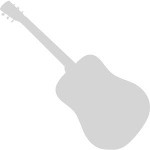 Ashbury AR-52 Parlour Resonator with Pick-up Concert size body with cutaway. Brass bodied chrome plated