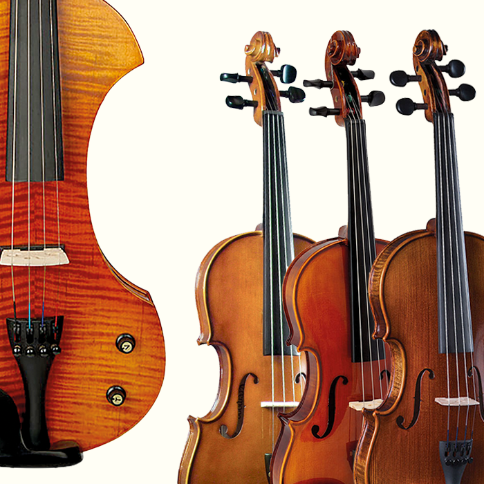 Bowed Strings Bowed Strings