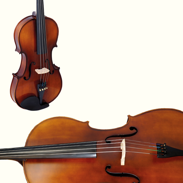 Violas, Cellos & Basses