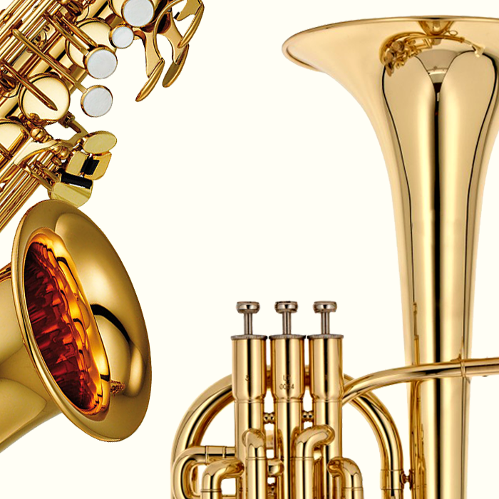 Brasswind Cases & Bags Brasswind Cases & Bags