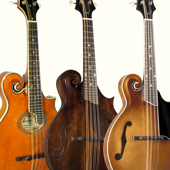 Arch Top F-Style Mandolins Arch Top F-Style Mandolins