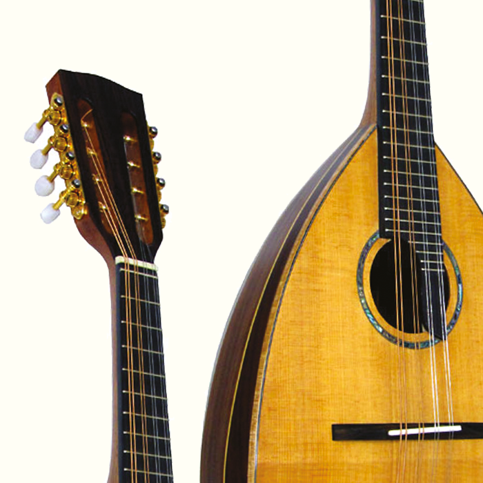 Bowl Back Mandolins