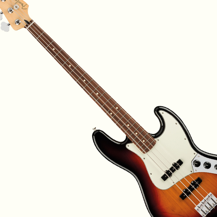 Electric Bass Guitars Electric Bass Guitars