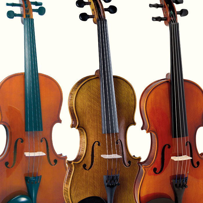 Violins Violins