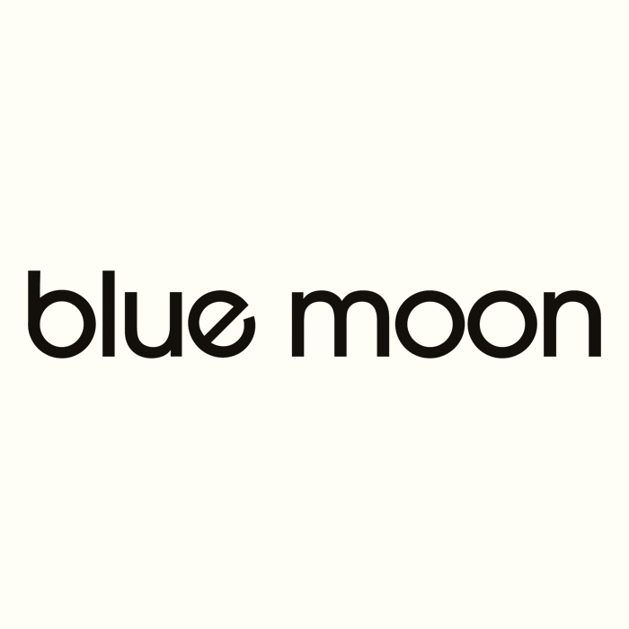 Blue Moon Guitars