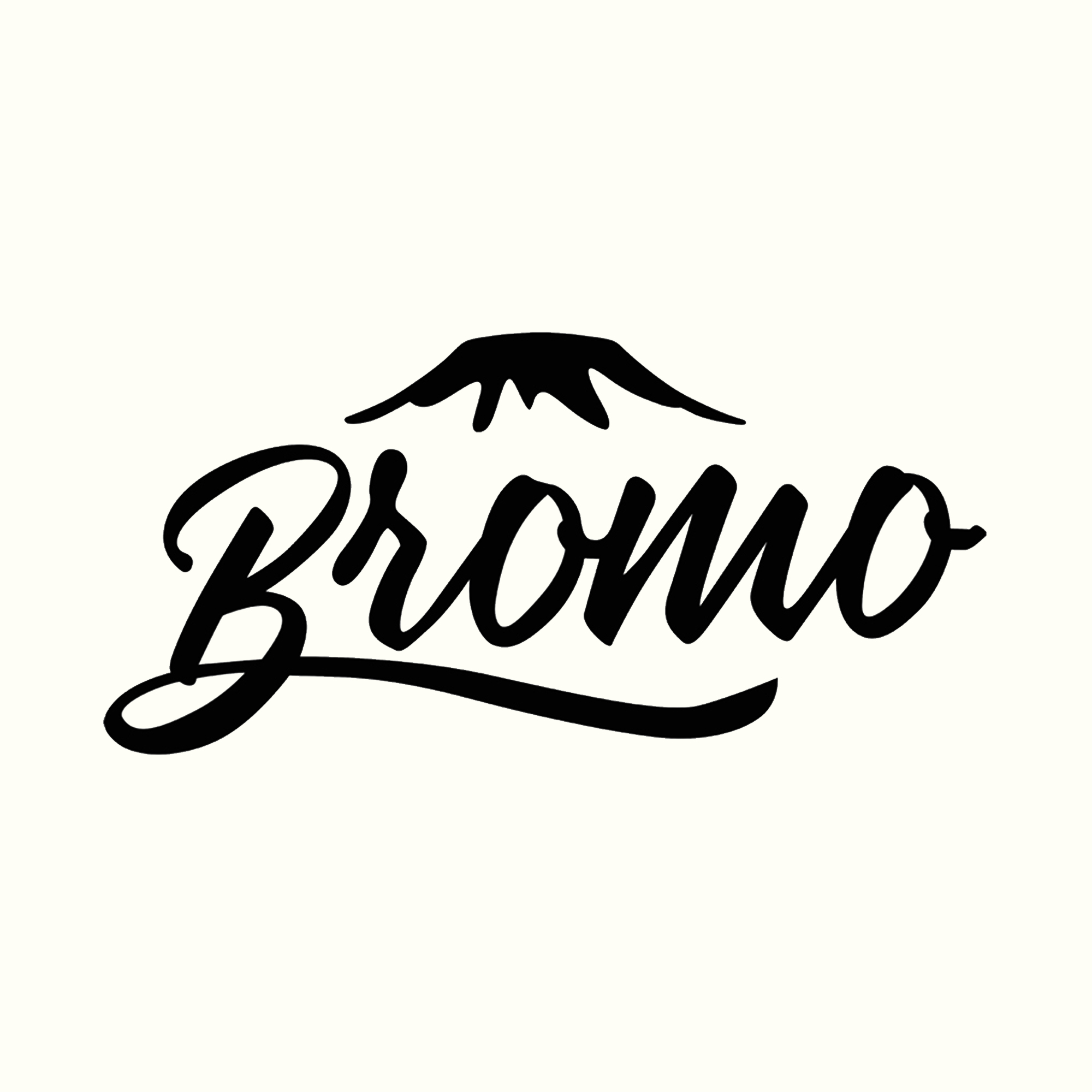 Bromo Acoustic Guitars Bromo Acoustic Guitars