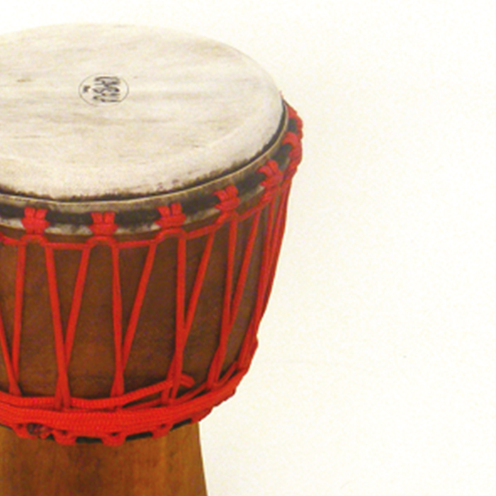 Kambala Accessories for instruments Kambala Accessories for instruments
