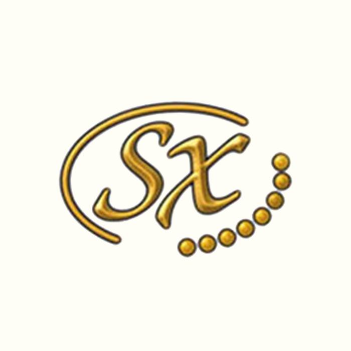 SX Electric Guitars SX Electric Guitars