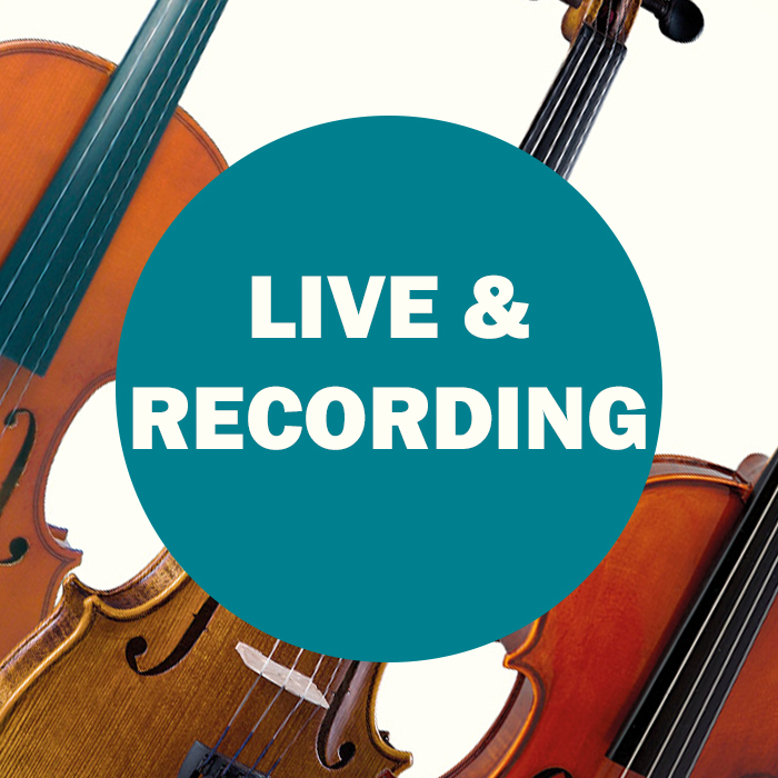 Violin Live and Recording Equipment Violin Live and Recording Equipment