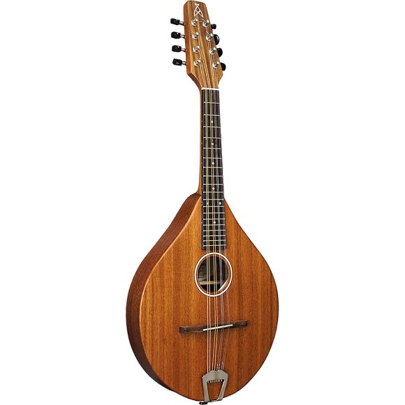 Ashbury AM-140 A Style Mandolin, Oval Hole (GR31014)