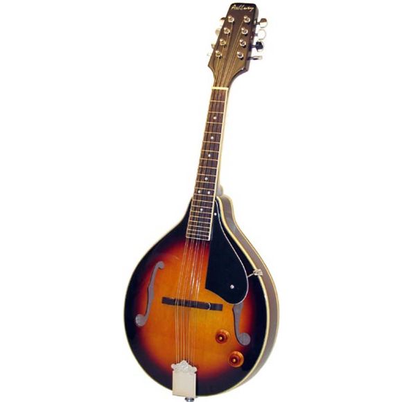Ashbury AM-10-ESB A Style Electro Mandolin, S/B (GR31023)