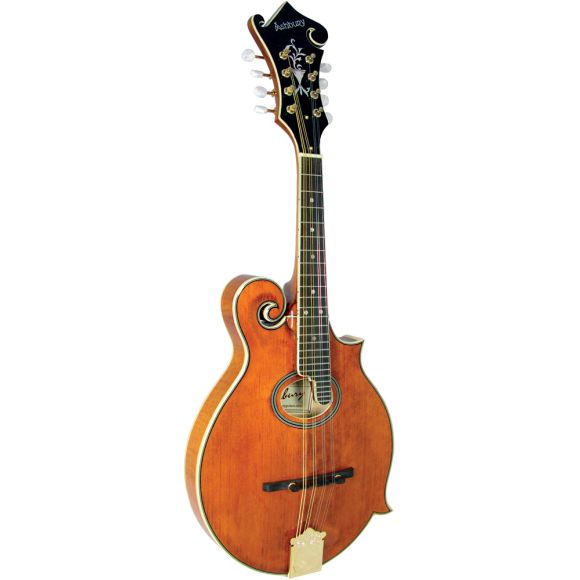 Ashbury AM-370 F Style Mandolin, Oval Hole (GR31026)