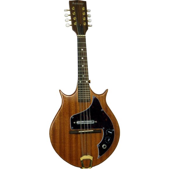 Ashbury AM-240 Solid Body Electric Mandolin (GR31029)