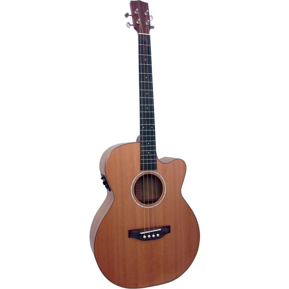 Ashbury Lindisfarne Tenor Guitar (GR36116)