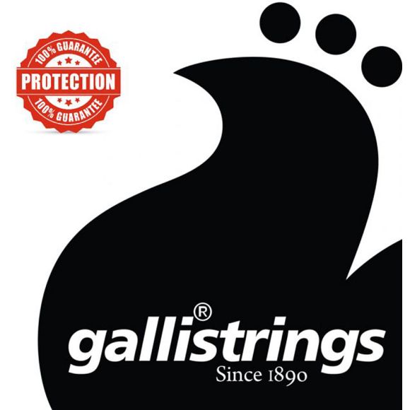 Galli G220 CM 5 String Banjo, Medium. Nickel (GS37601)