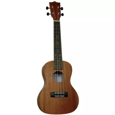 Fretted & Stringed