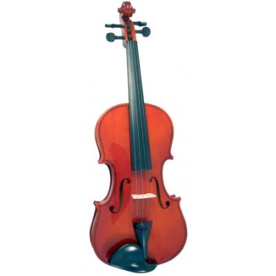 Bowed Strings