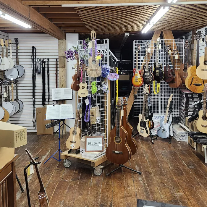 Hobgoblin has been selling folk instruments since 1976